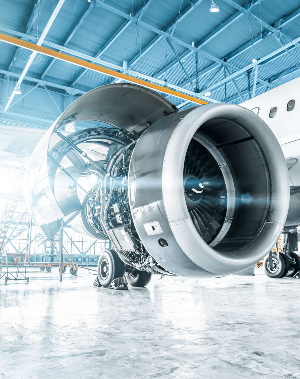 University of Sciences